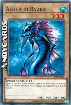 ACQUA DI RADICE