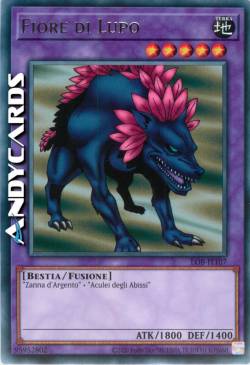 FIORE DI LUPO