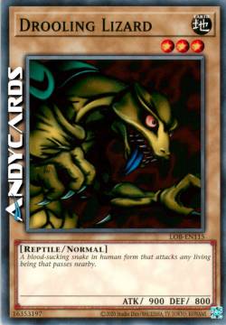 DROOLING LIZARD