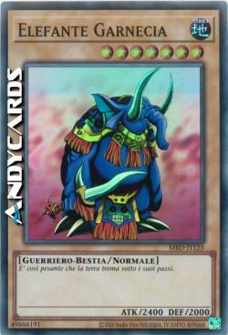ELEFANTE GARNECIA