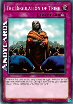 REGOLAZIONE DELLA TRIBÙ