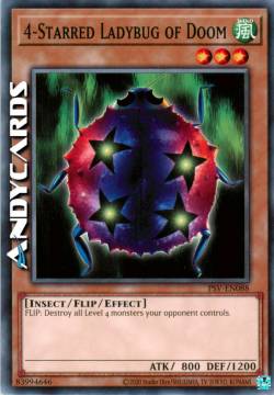 COCCINELLA DEL DESTINO