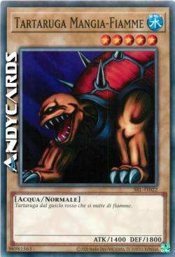 TARTARUGA MANGIA-FIAMME