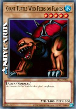 TARTARUGA MANGIA-FIAMME