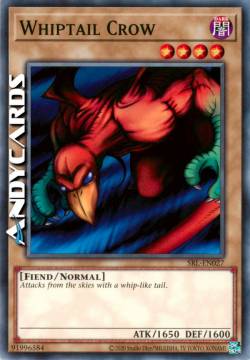 CORVO CODA-DI-FRUSTA