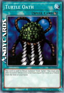 GIURAMENTO DELLA TARTARUGA