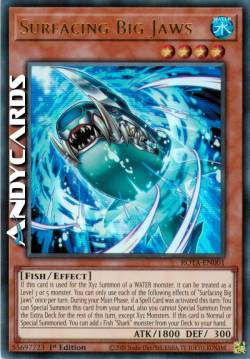 Affioramento Grandi Mascelle