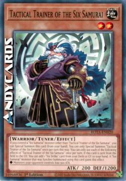 Allenatore Tattico dei Sei Samurai