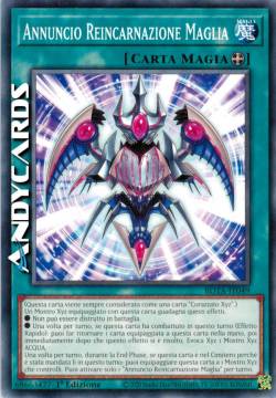 Annuncio Reincarnazione Maglia