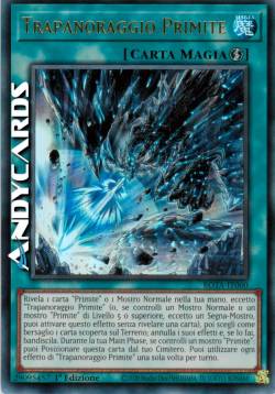 Trapanoraggio Primite