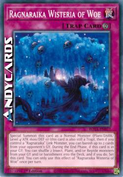 Glicine dei Guai Ragnaraika