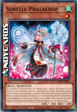 Sorelle Phalaenop