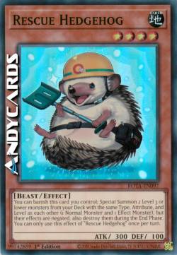 Porcospino da Soccorso