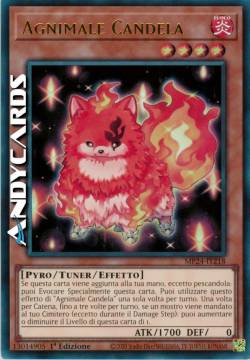 Agnimale Candela