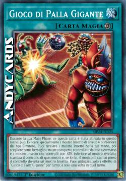 Gioco di Palla Gigante