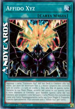 Affido Xyz