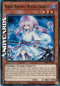 MIETITORE FANTASMA & FIORI DI CILIEGIO INVERNALI