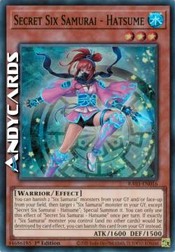 HATSUME - SEI SAMURAI SEGRETA