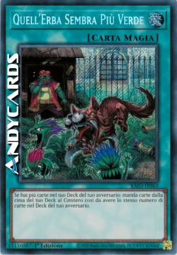 QUELL'ERBA SEMBRA PIÙ VERDE