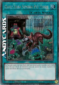 QUELL'ERBA SEMBRA PIÙ VERDE