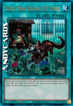 QUELL'ERBA SEMBRA PIÙ VERDE