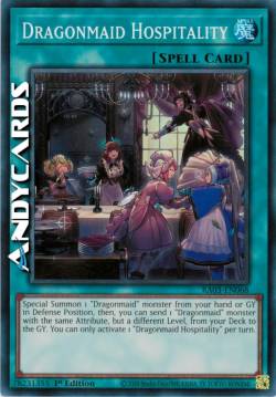 OSPITALITÀ DRAGONZELLA