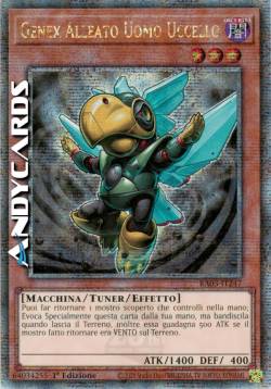 GENEX ALLEATO UOMO UCCELLO