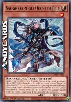 SAGGIO CON GLI OCCHI DI BLU