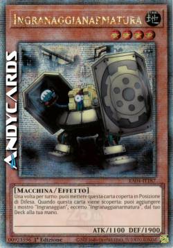 INGRANAGGIANARMATURA