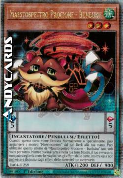 MAESTOSPETTRO PROCIONE - BUNBUKU