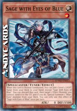 SAGGIO CON GLI OCCHI DI BLU