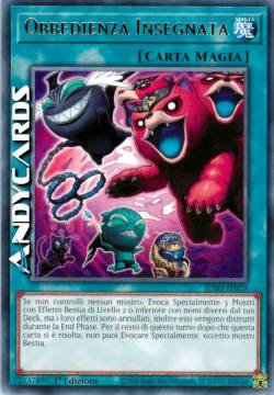 OBBEDIENZA INSEGNATA