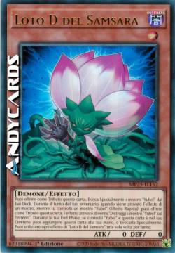 Loto D del Samsara