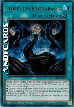 Fioritura Ragnaraika