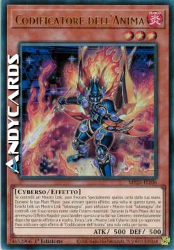 Codificatore dell'Anima