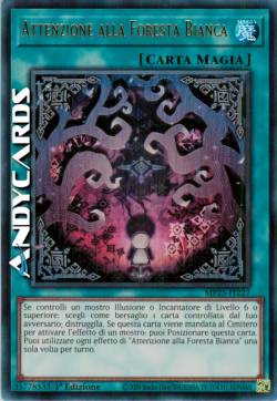 Attenzione alla Foresta Bianca