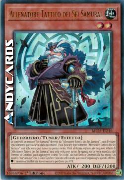 Allenatore Tattico dei Sei Samurai