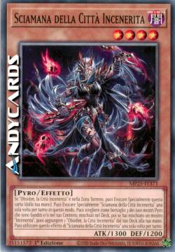 Sciamana della Città Incenerita