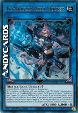 Tri-Brigata Armi Mouser