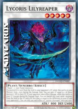 Lycoris Gigliomietitore