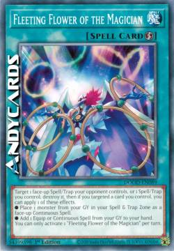 Fiore Effimero del Mago