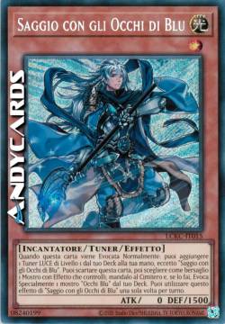 SAGGIO CON GLI OCCHI DI BLU