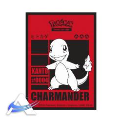 UP-SST-POK-65-CHARMANDER-0004.jpg