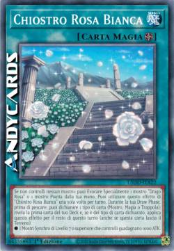 CHIOSTRO ROSA BIANCA