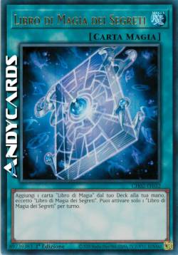 LIBRO DI MAGIA DEI SEGRETI