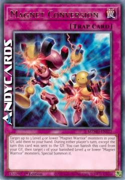 CONVERSIONE MAGNETICA