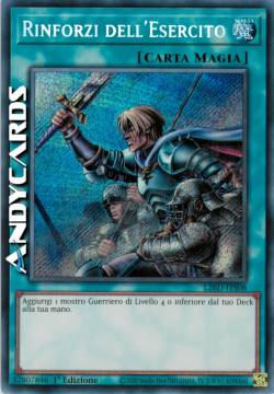 RINFORZI DELL'ESERCITO