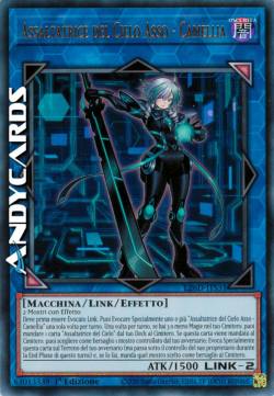 Assaltatrice del Cielo Asso - Camellia