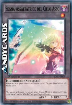 SEGNA-ASSALTATRICE DEL CIELO ASSO