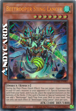 Scarasoldato Pungiglione Lanciere